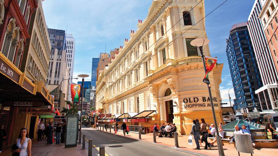 Wellington City and Bays Tour - Afternoon  GreatSights